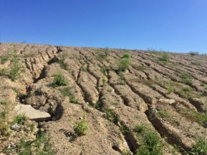 Erosion Control Solutions | Superior Groundcover